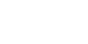ELFBAR